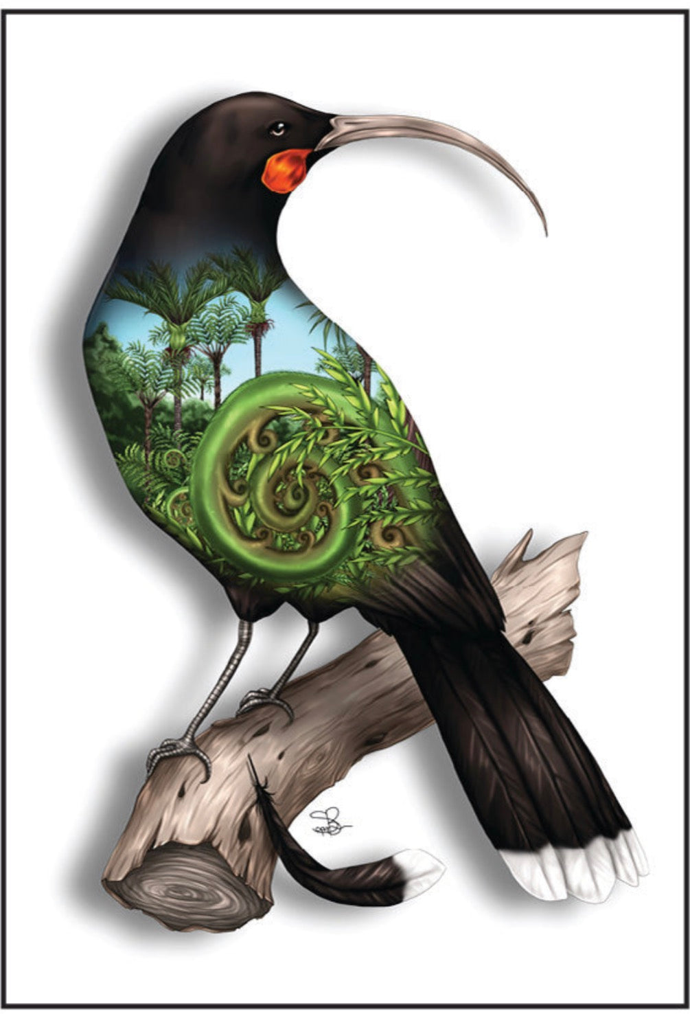 Maori Art Cards by Sophie Blokker Huia