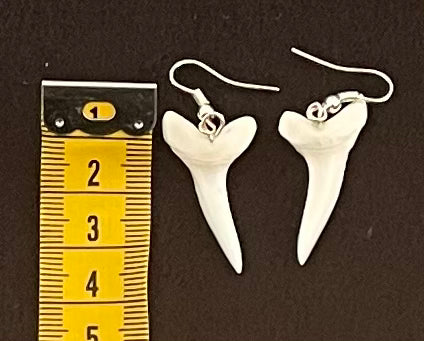 Real Mako Shark Teeth Earrings - No3