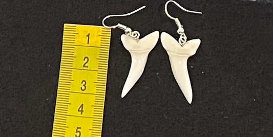 Real Mako Shark Teeth Earrings - No 22