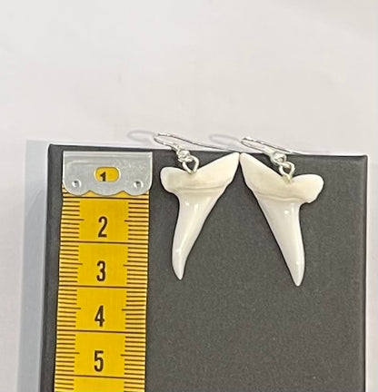 Real Mako Shark Teeth Earrings - No 2