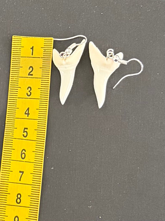 Real Mako Shark Teeth Earrings - No 5