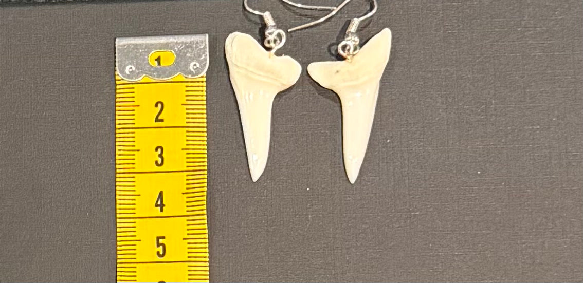 Real Mako Shark Teeth Earrings - No 15