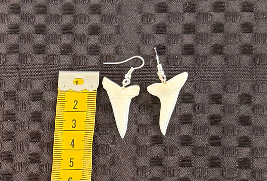 Real Mako Shark Teeth Earrings - No 10