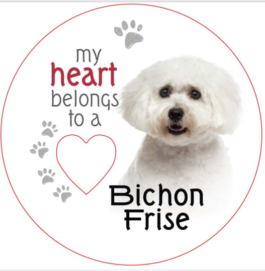 Bichin Frise
