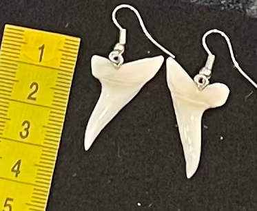 Real Mako Shark Teeth Earrings - No 25