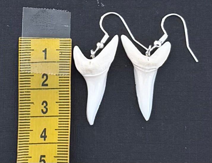 Real Mako Shark Teeth Earrings - No 26