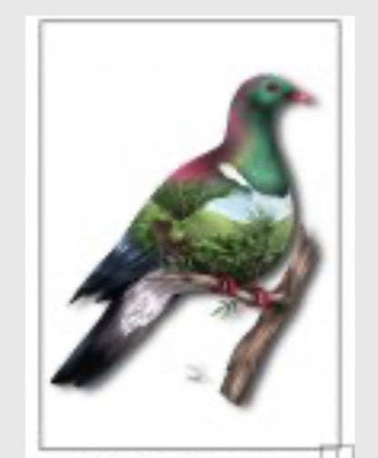 Wood Pigeon LED Light Canvas With a Gift Card to Match