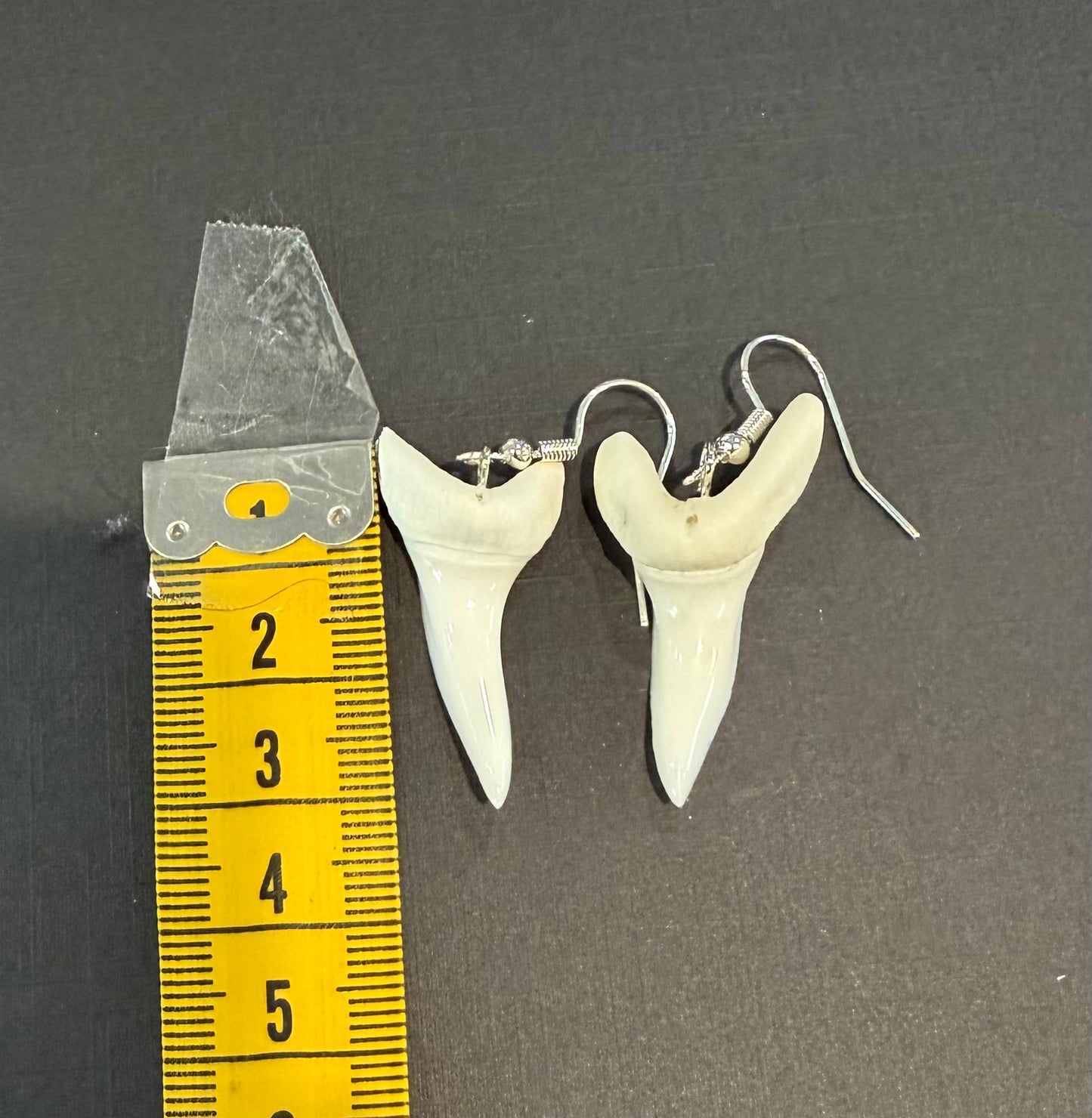 Real Mako Shark Teeth Earrings - No 18