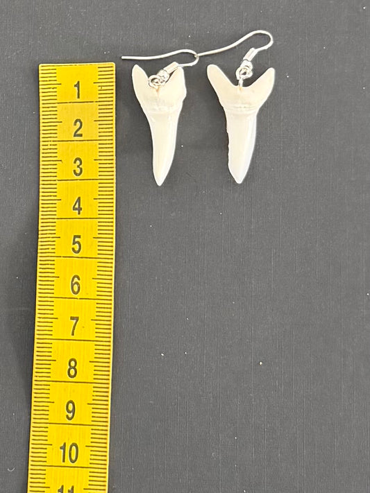 Real Mako Shark Teeth Earrings - No 19