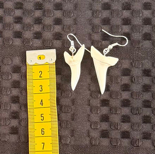 Real Mako Shark Teeth Earrings - No 11