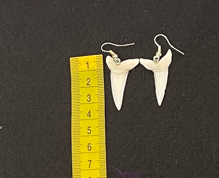 Real Mako Shark Teeth Earrings - No 8