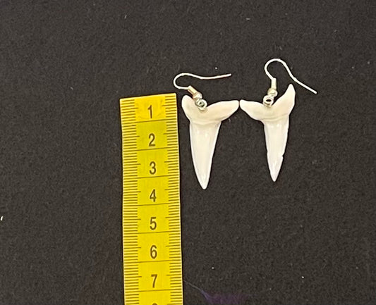 Real Mako Shark Teeth Earrings - No 8