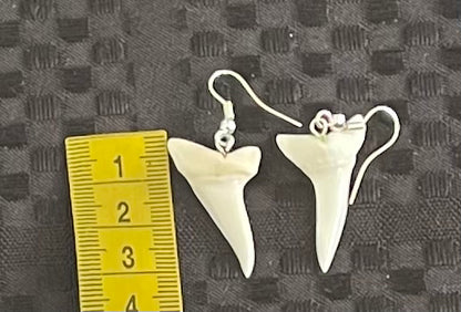 Real Mako Shark Teeth Earrings - No 5