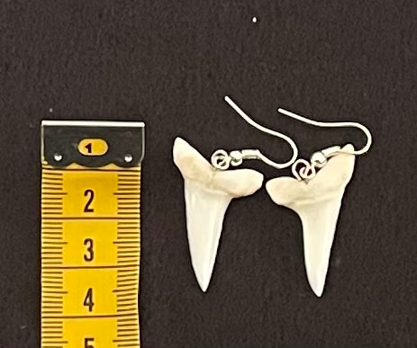 Real Mako Shark Teeth Earrings - No 5