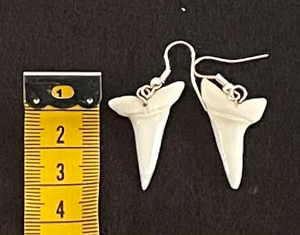 Real Mako Shark Teeth Earrings - No 13
