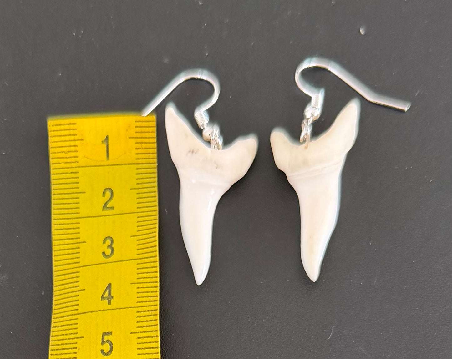 Real Mako Shark Teeth Earrings - No 23