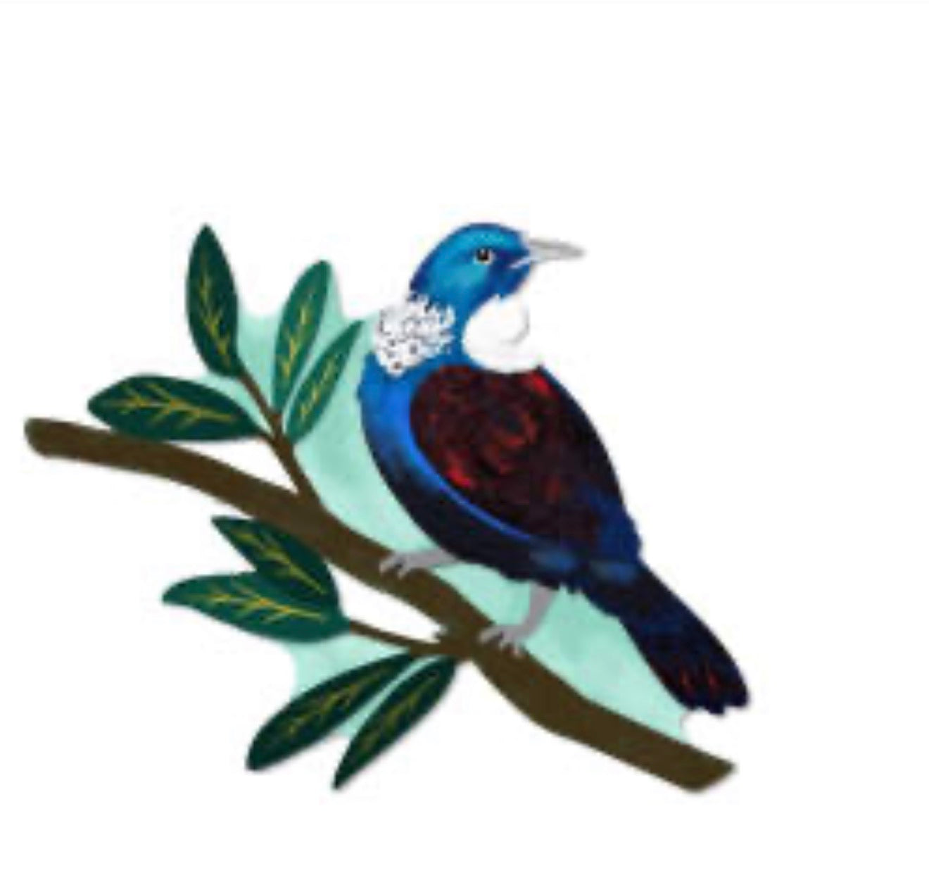 9cm NZ native magnet Tui