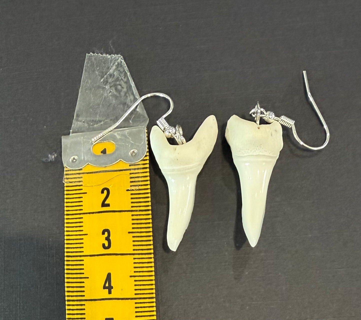 Real Mako Shark Teeth Earrings - No 21