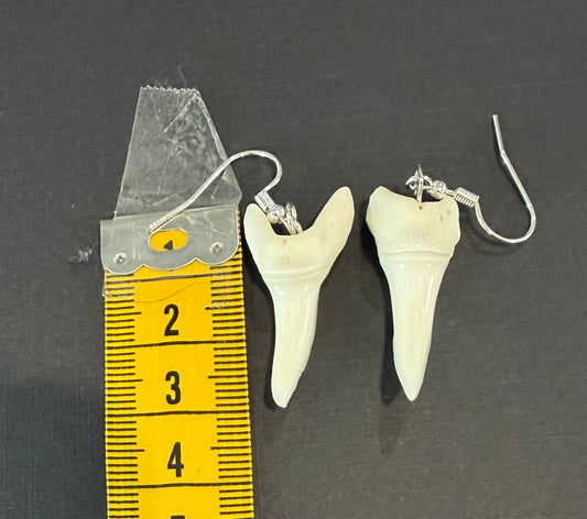 Real Mako Shark Teeth Earrings - No 21
