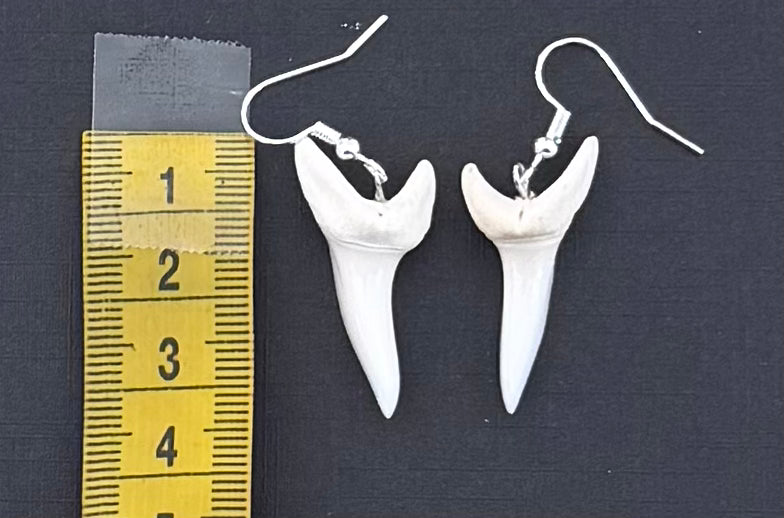 Real Mako Shark Teeth Earrings - No 16