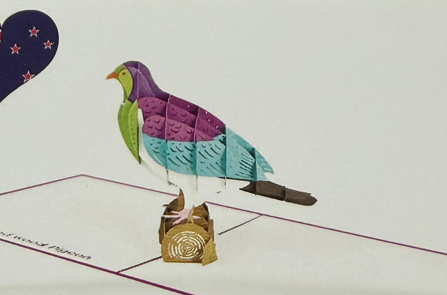 NZ Pigeon