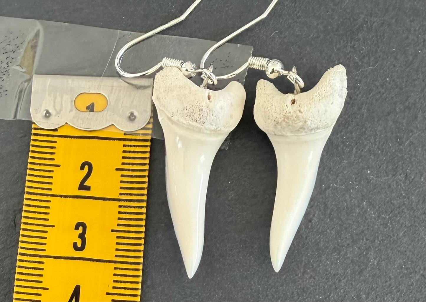 Real Mako Shark Teeth Earrings - No 16