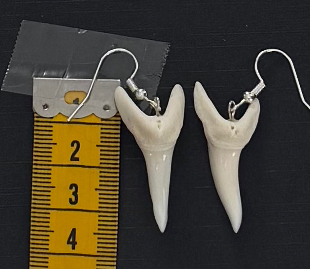 Real Mako Shark Teeth Earrings - No 7