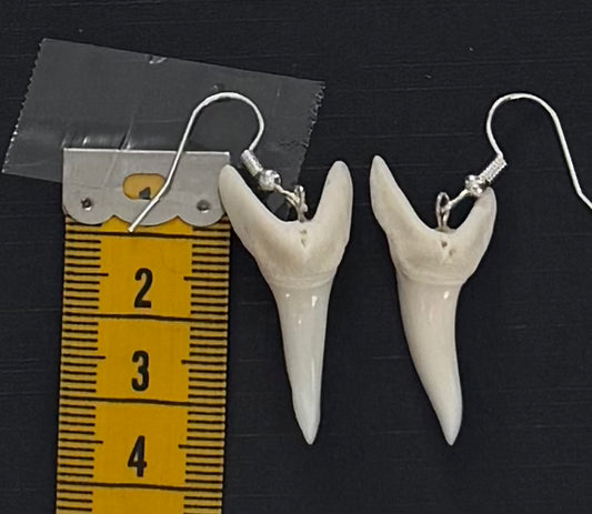 Real Mako Shark Teeth Earrings - No 7