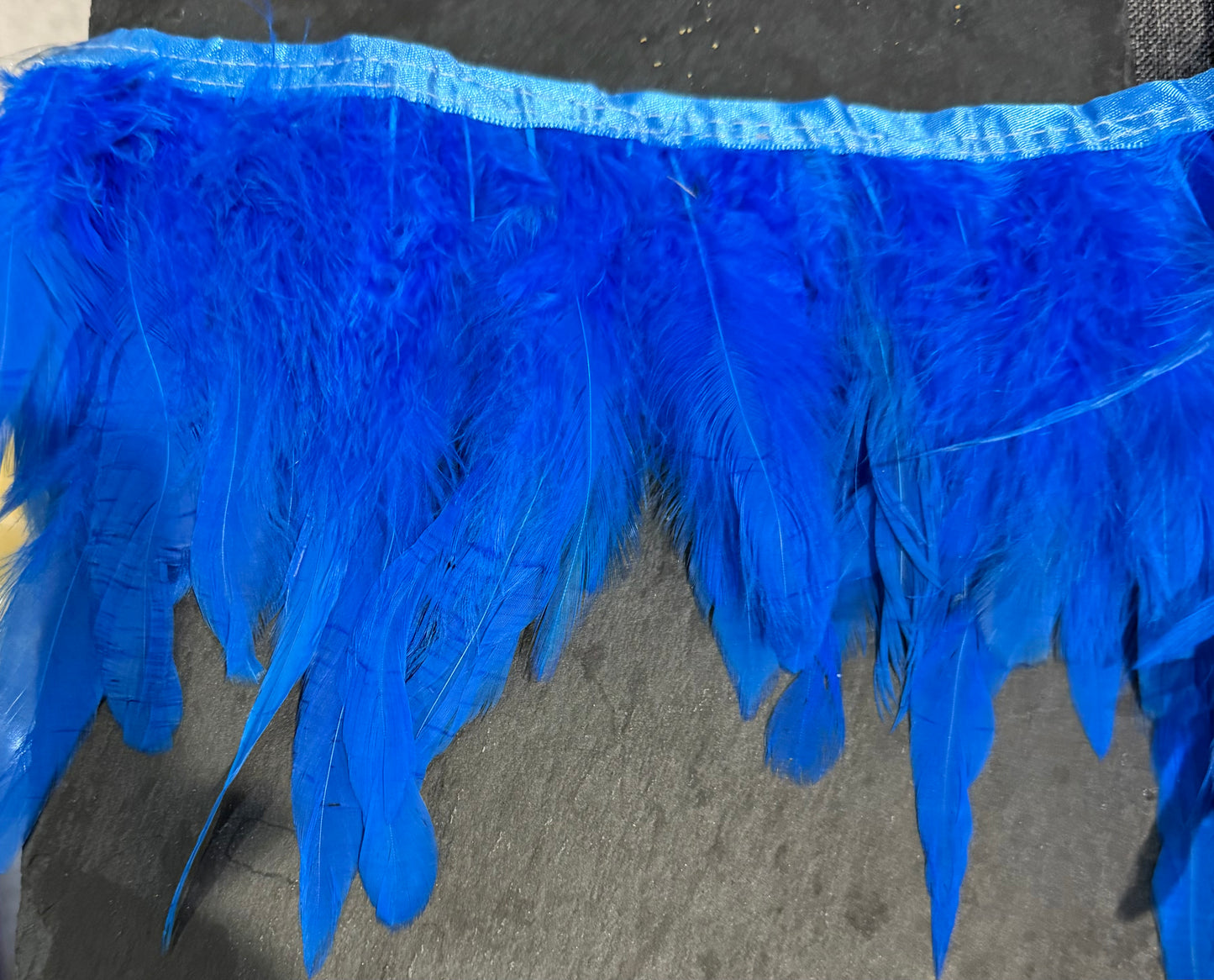 Plain royal blue Coque Feathers