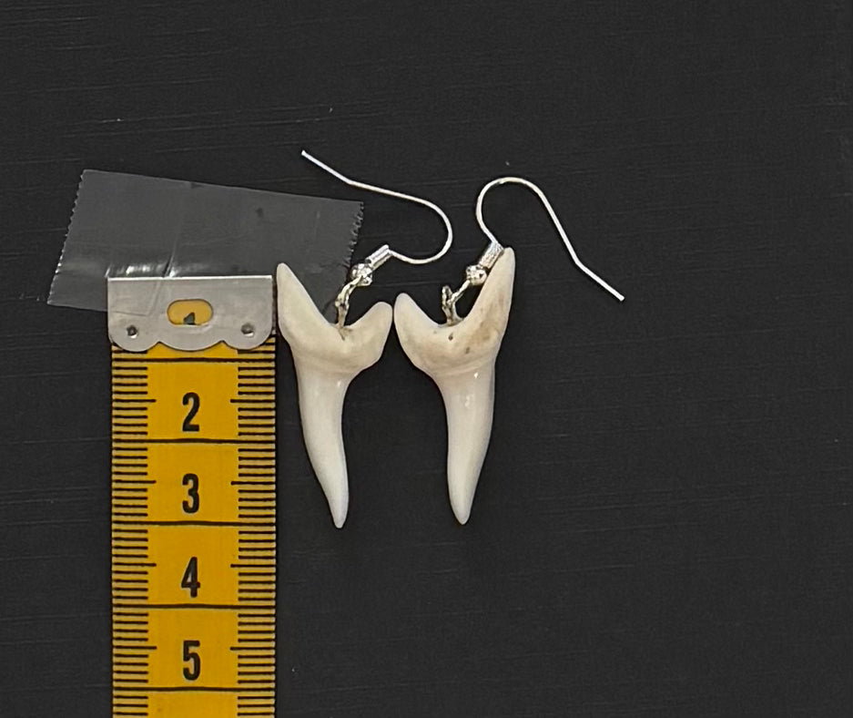 Real Mako Shark Teeth Earrings - No 25