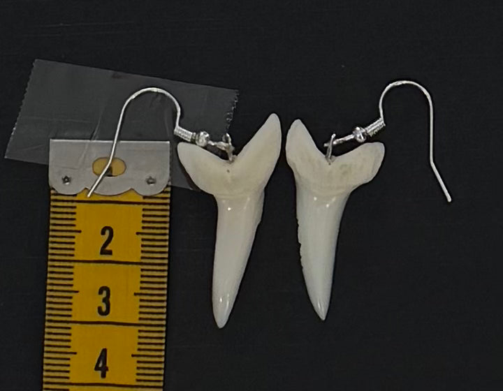Real Mako Shark Teeth Earrings - No 19