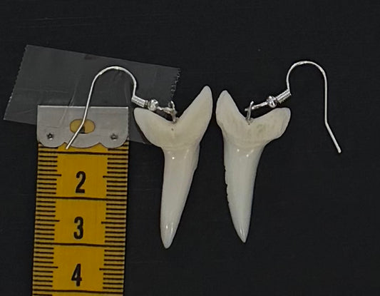 Real Mako Shark Teeth Earrings - No 19
