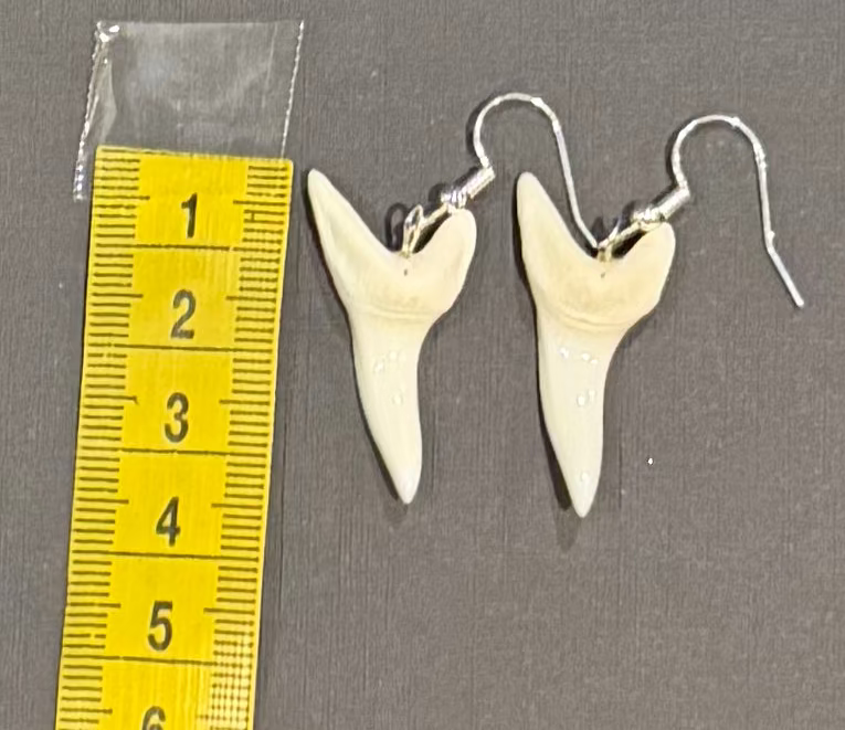 A pair of shark tooth drop earrings with silver fishhook wires, displayed next to a yellow measuring tape on a dark gray surface.