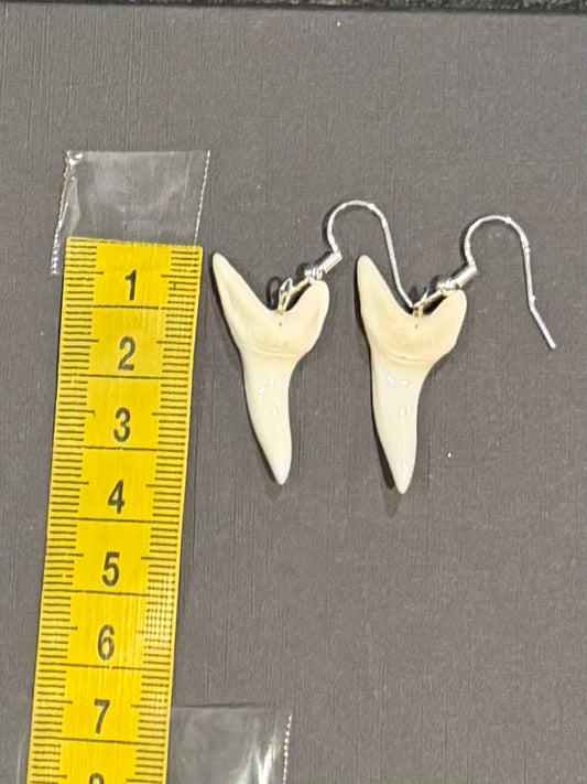 Real Mako Shark Teeth Earrings - No 3