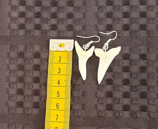 Real Mako Shark Teeth Earrings - No 20