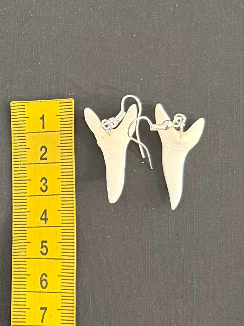Real Mako Shark Teeth Earrings - No 23