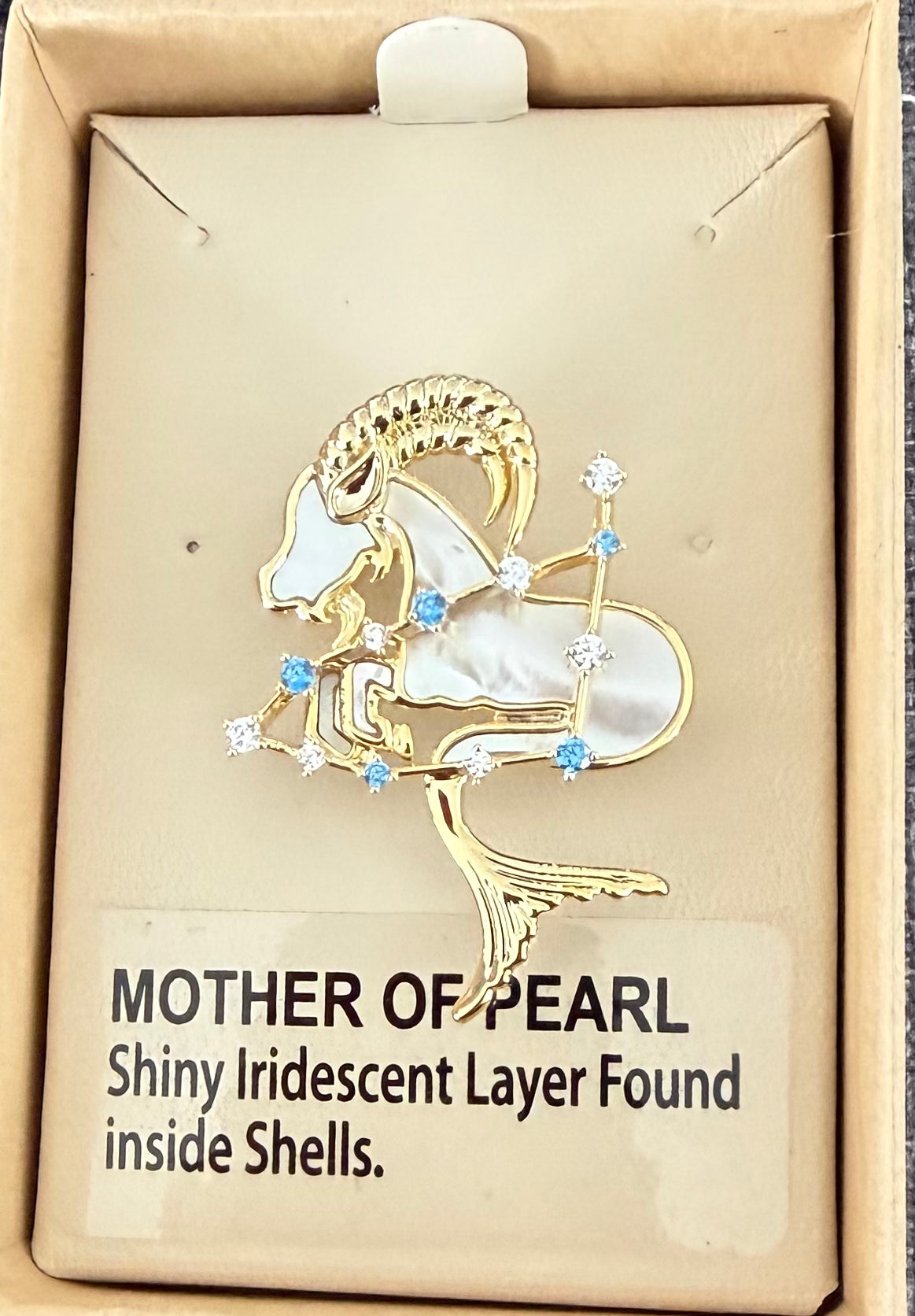 Mother of Pearl Brooch Capricorn