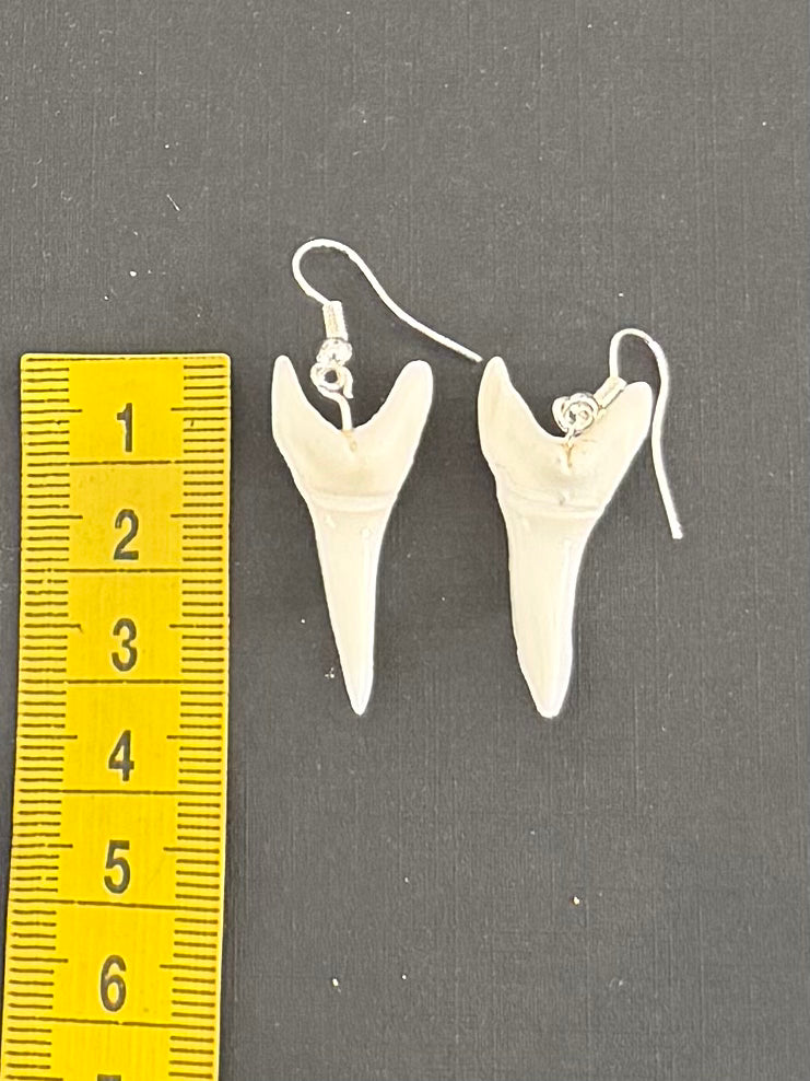 Real Mako Shark Teeth Earrings - No 4