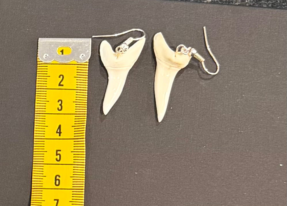 Real Mako Shark Teeth Earrings - No 7