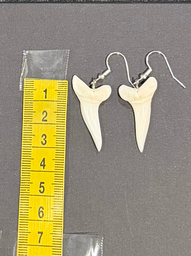 Real Mako Shark Teeth Earrings - No 20