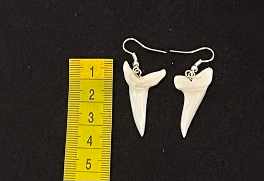 Real Mako Shark Teeth Earrings - No 15