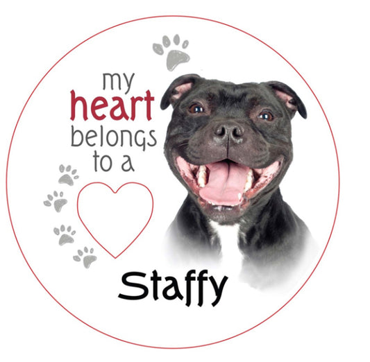 Staffy