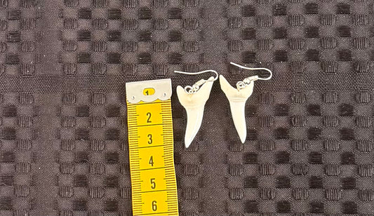 Real Mako Shark Teeth Earrings - No 19