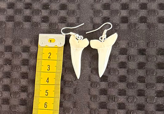 Real Mako Shark Teeth Earrings - No 9