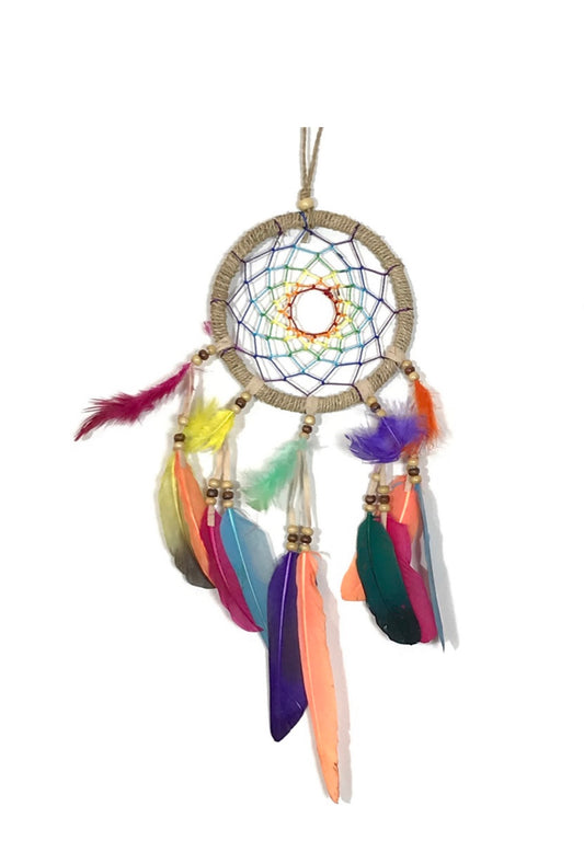 Multi Coloured Dream Catcher