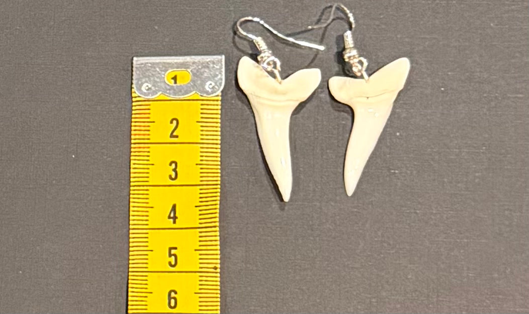 Real Mako Shark Teeth Earrings - No 22