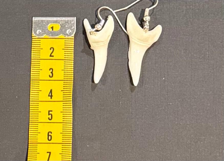 Real Mako Shark Teeth Earrings - No 18