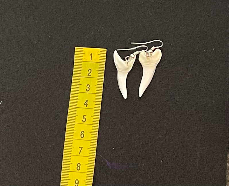 Real Mako Shark Teeth Earrings - No 6