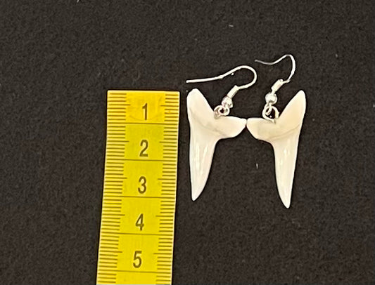 Real Mako Shark Teeth Earrings - No 12