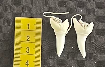Real Mako Shark Teeth Earrings - No 9